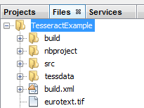 NetBeans Files view